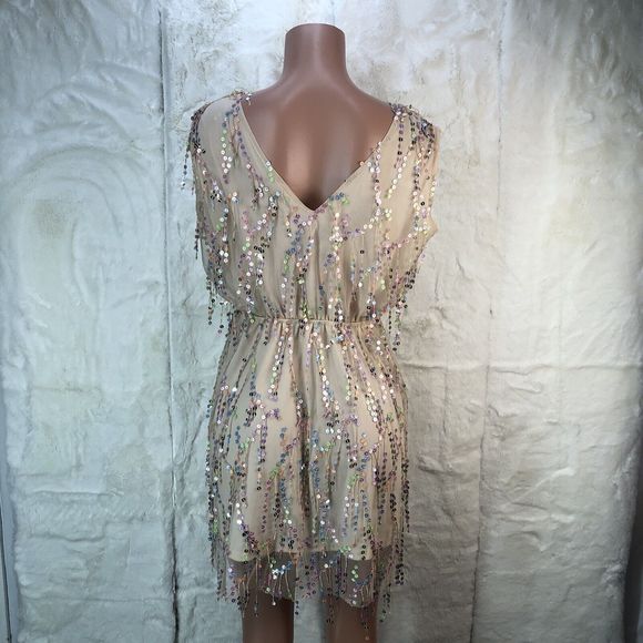 Southern Fried Chics Mini Dress Womens XL  Beige Shimmy For Me Mesh Sequins - Picture 13 of 16